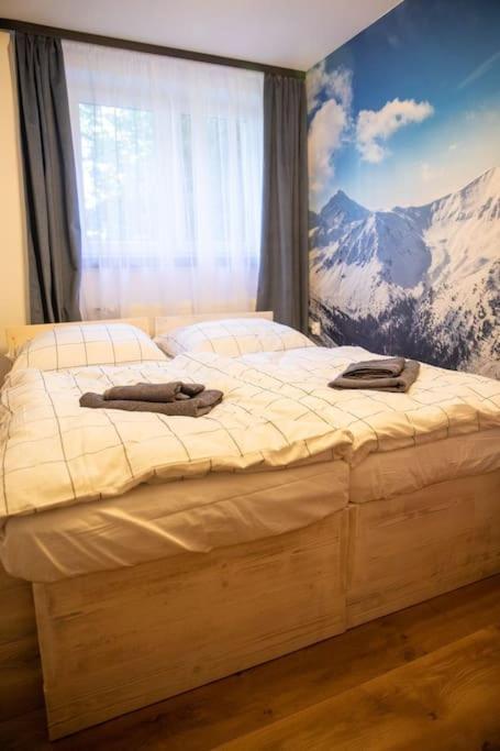 Apartament Leszczynska 29 Bielsko-Biała Exterior foto