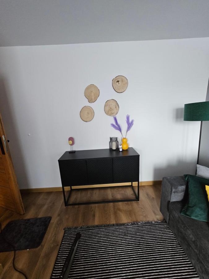 Apartament Leszczynska 29 Bielsko-Biała Exterior foto